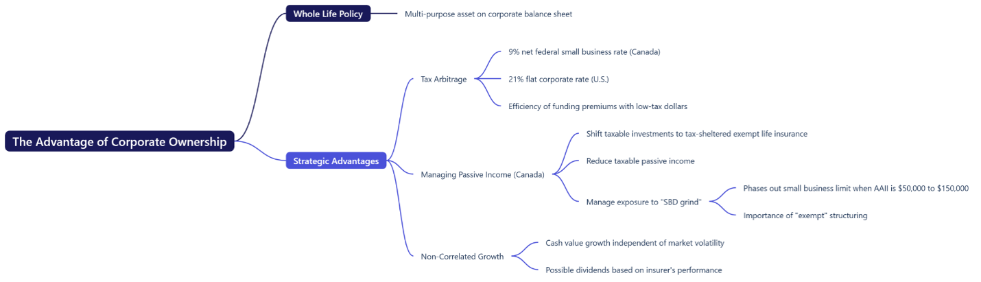 Strategic advantages of corporate ownership, including tax arbitrage, managing passive income in Canada, and non-correlated growth.